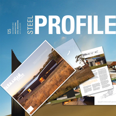 SteelProfileValleyHouse239x239