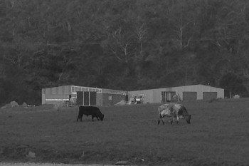 14004 Distillery Construction 03