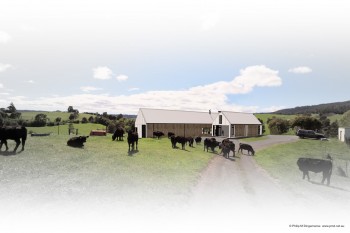 PhilipMDingemanse MountArthurFarmHouse SW 1170x780